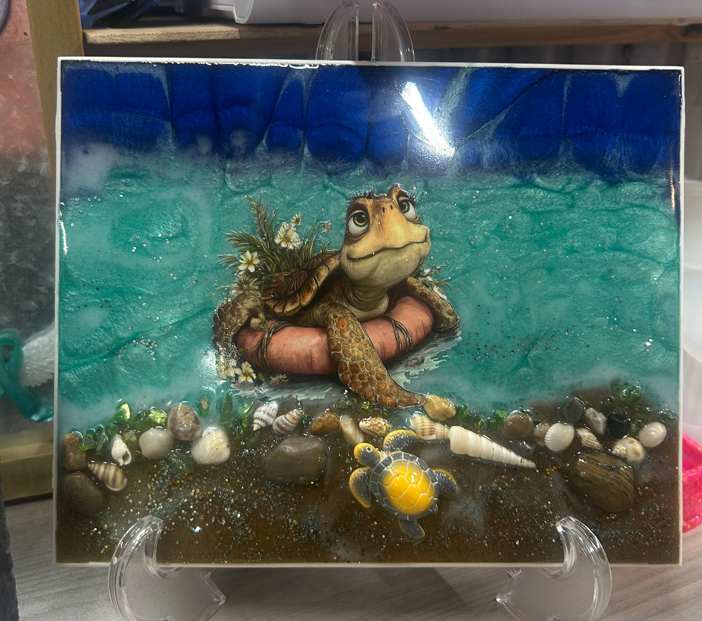 Turtle (Raffle)