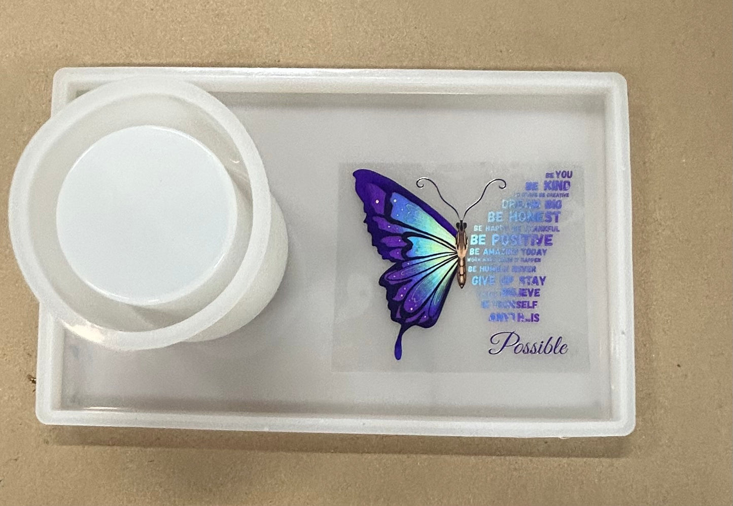 #12 tray and holder