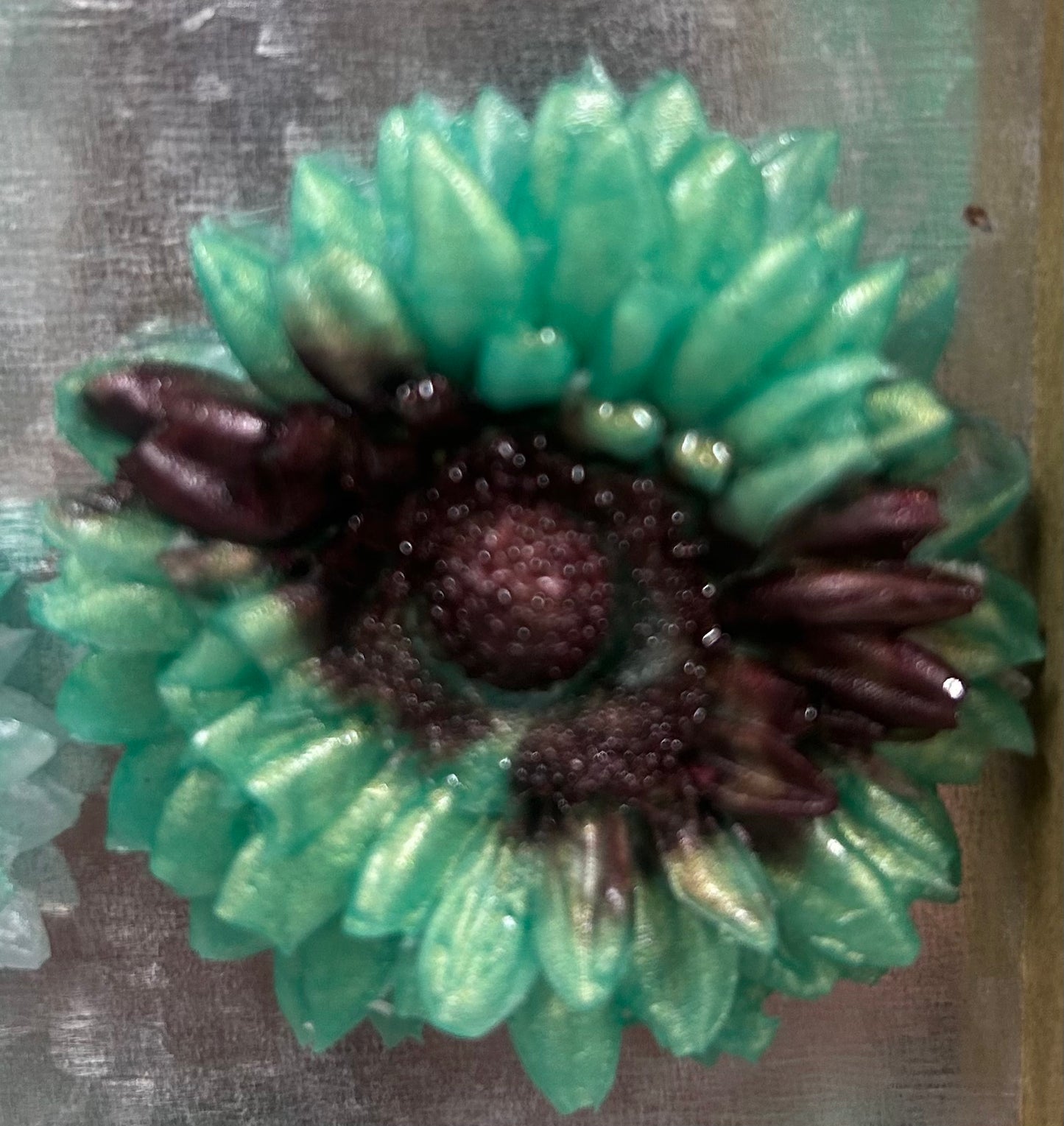 sunflower magnet