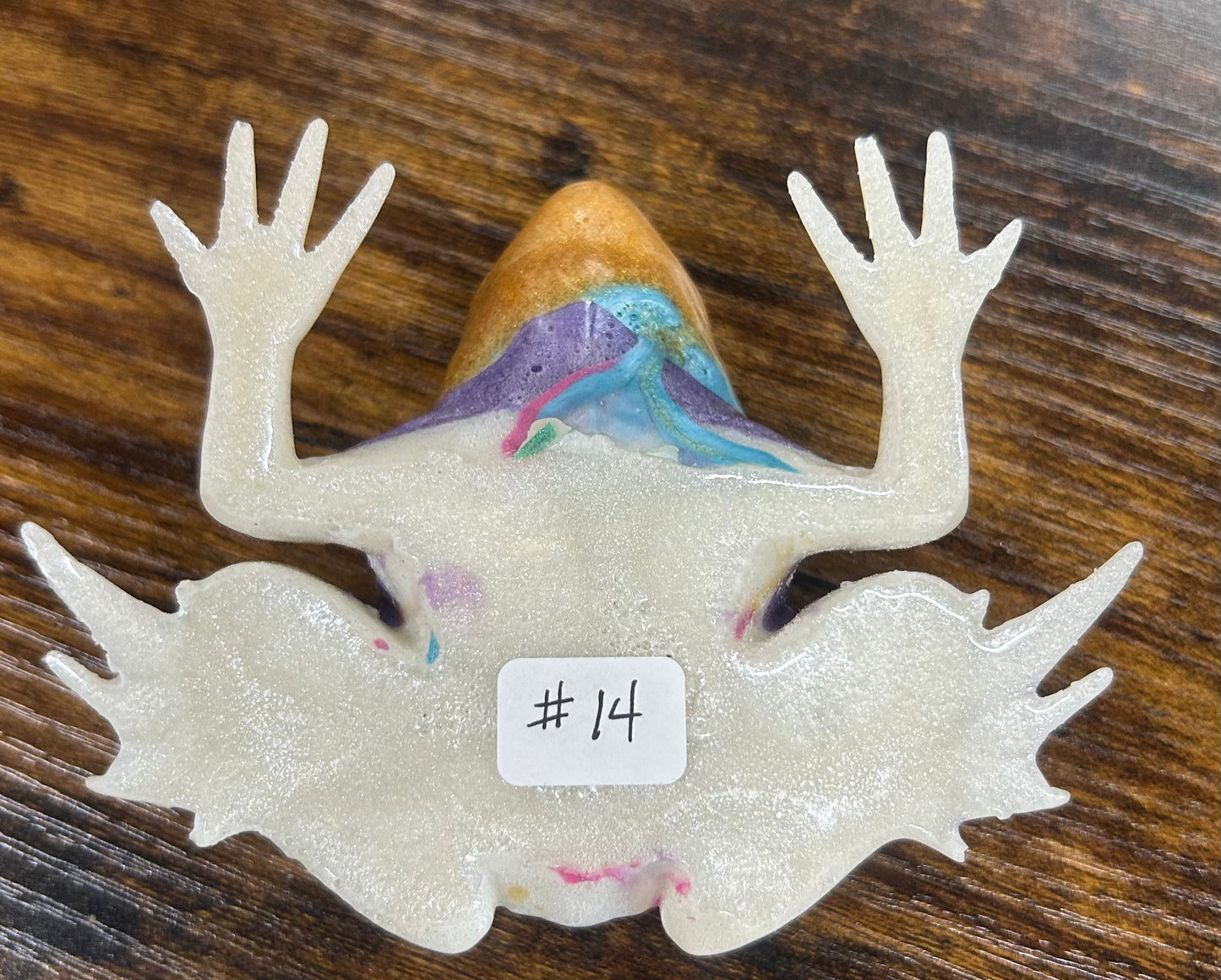 #14 Resin Frog