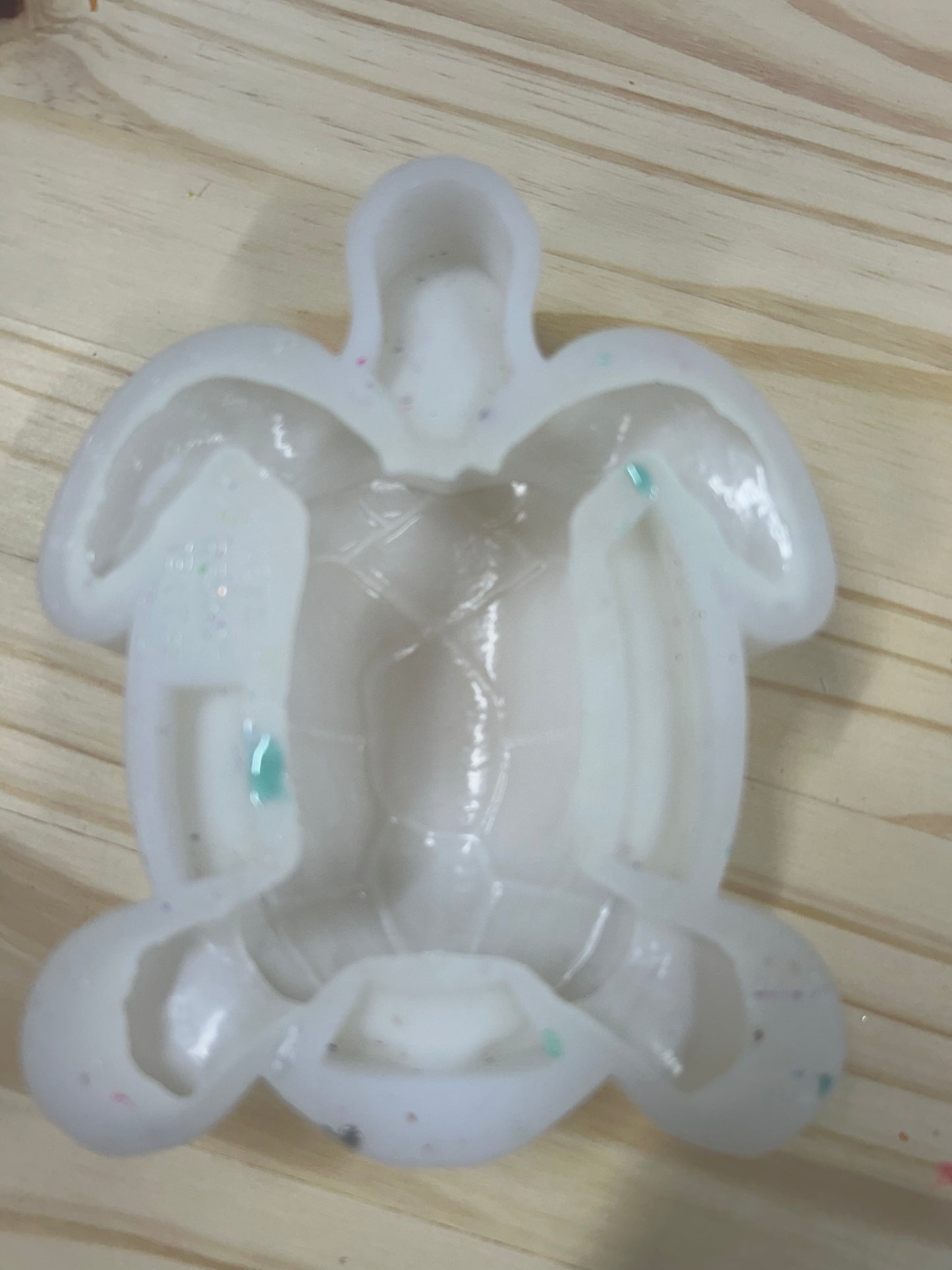 custom turtle