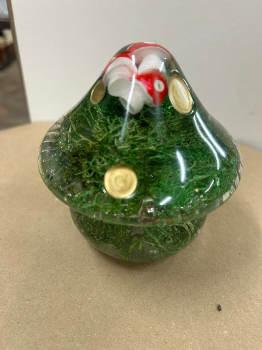 #53 Ladybug mushroom dish