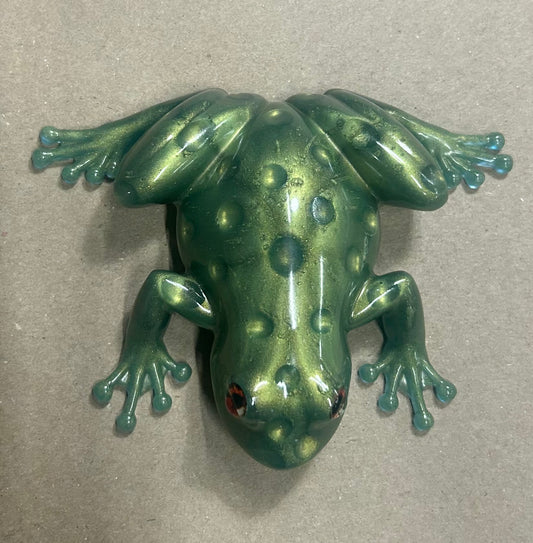 Green Wart Frog