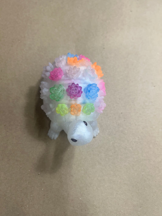 White Rose Turtle