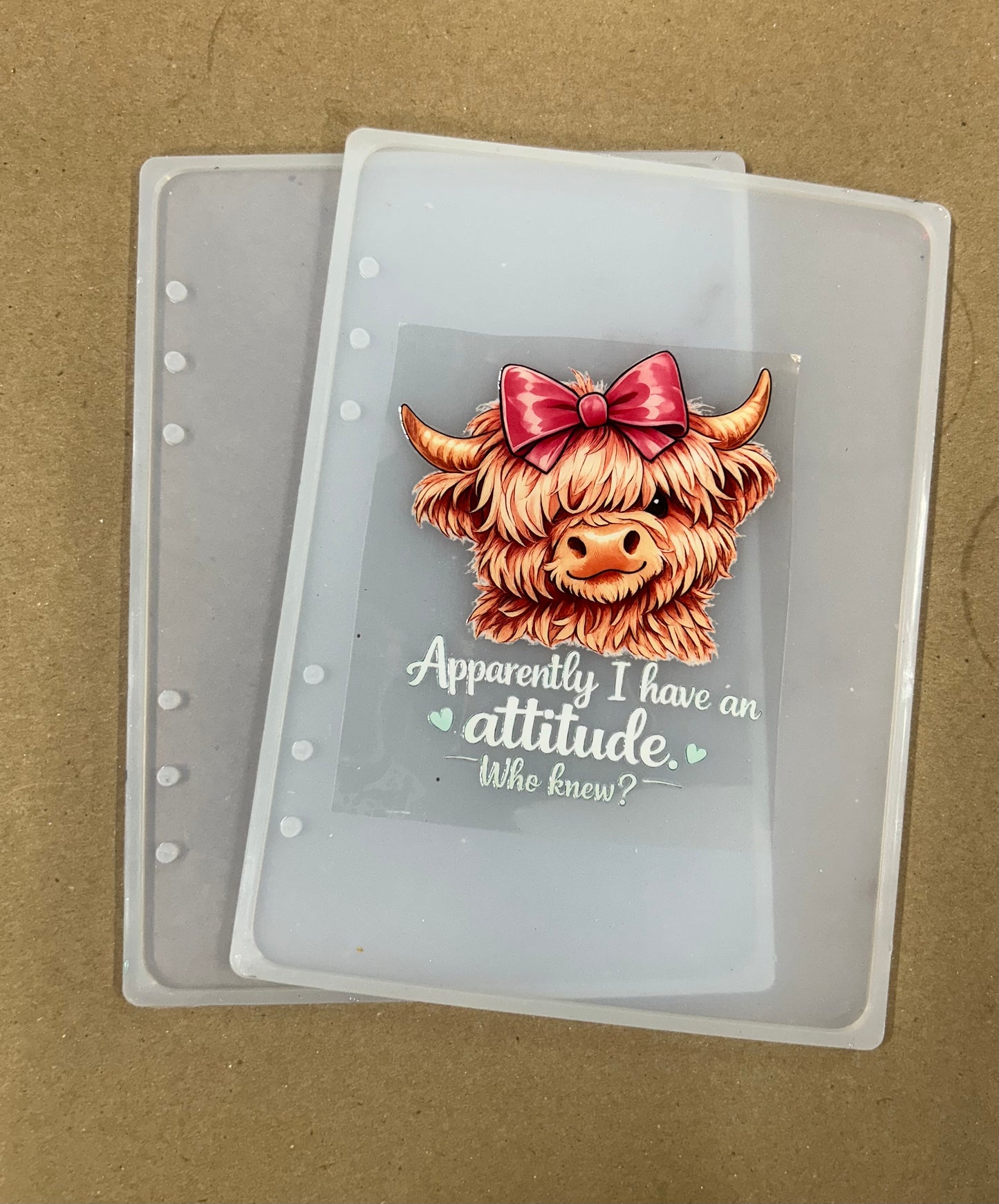 #2 Notebook