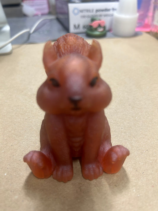 Squirrel