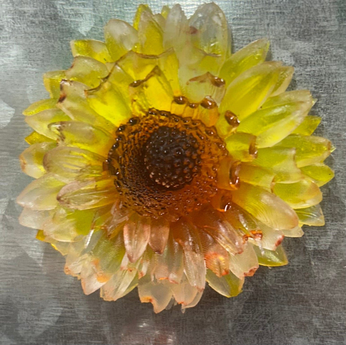 sunflower magnet