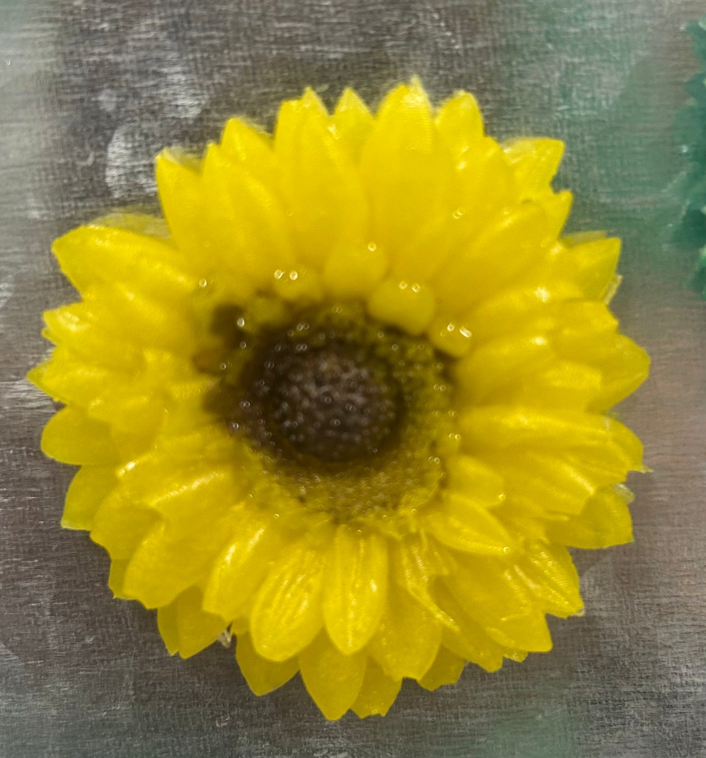 sunflower magnet