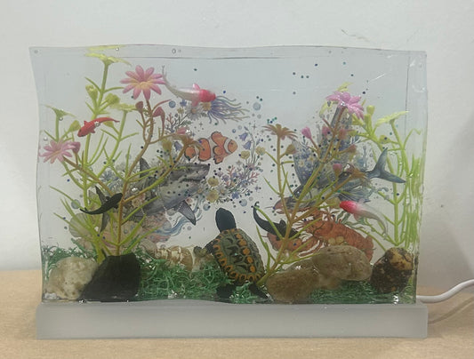 #34 aquarium