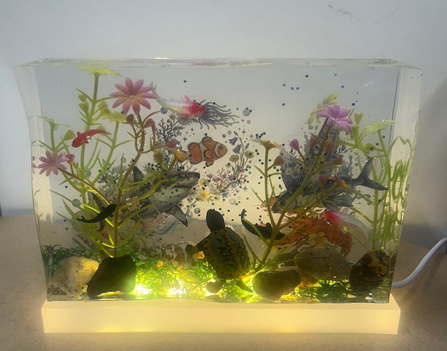 #34 aquarium