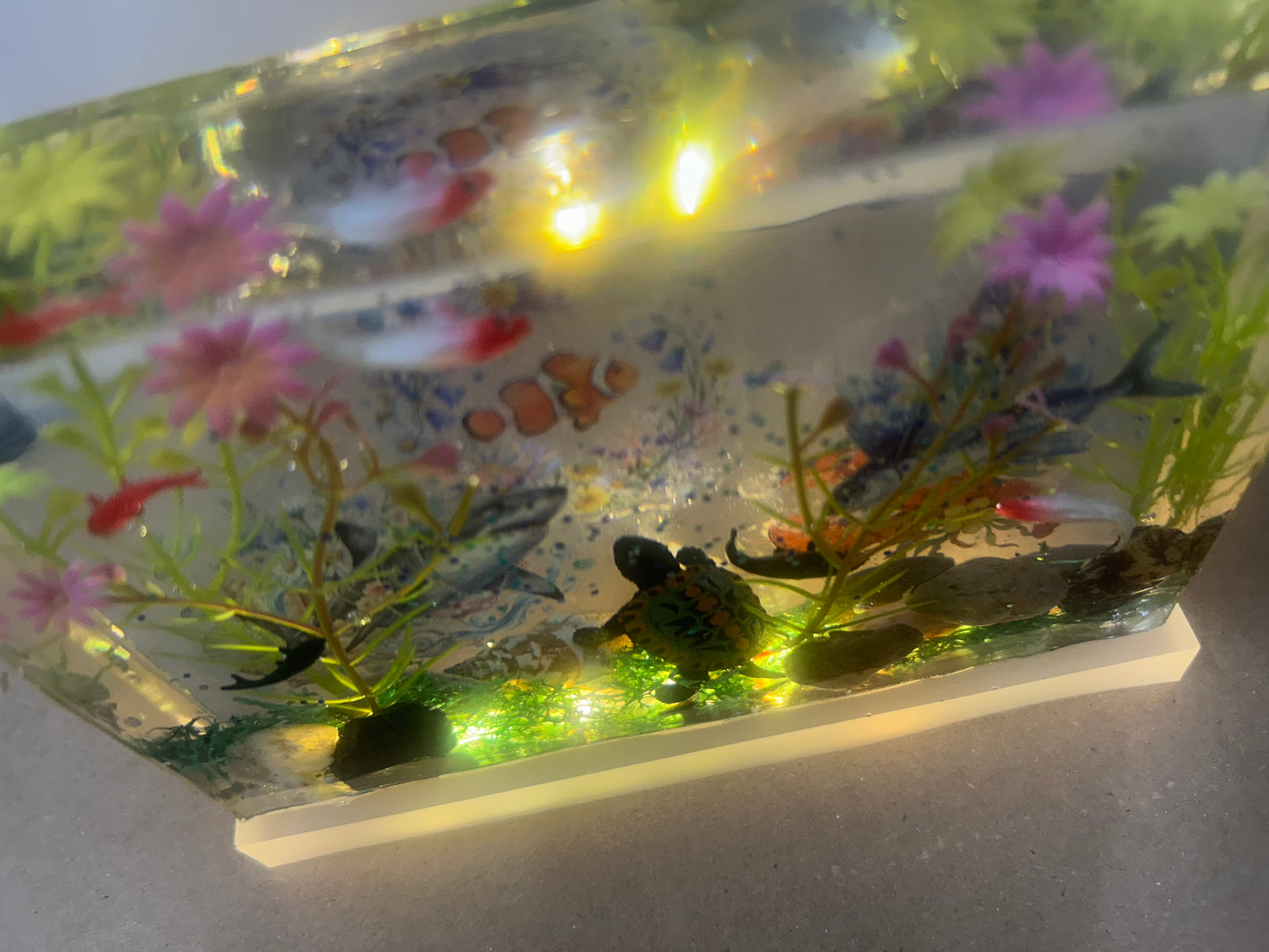#34 aquarium