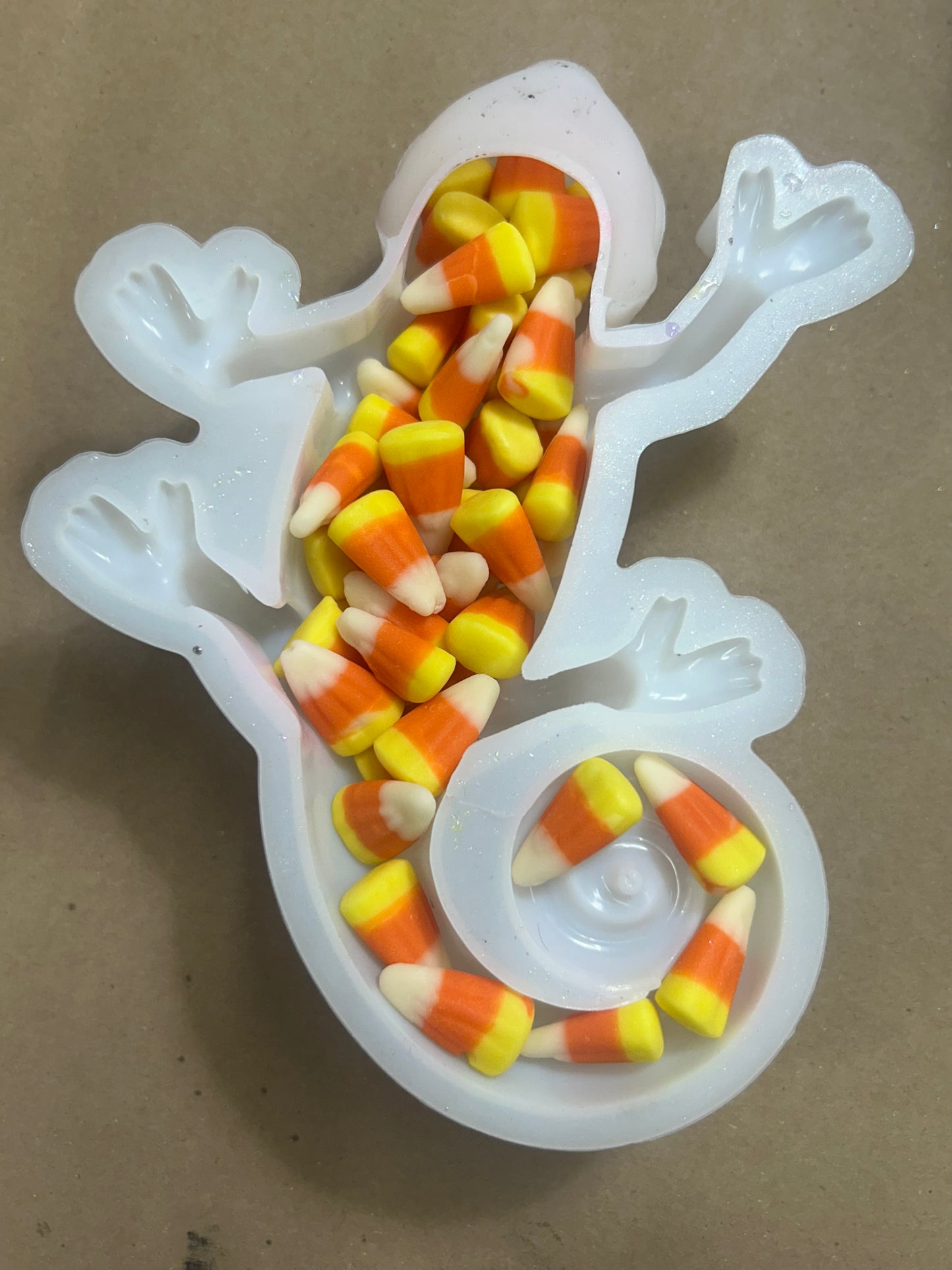 Candy Corn chameleon lizard