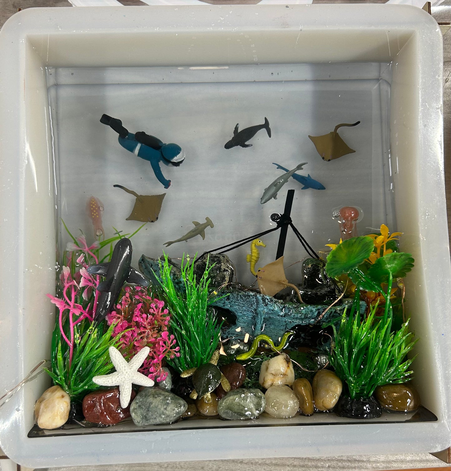 Aquarium (Sharon)