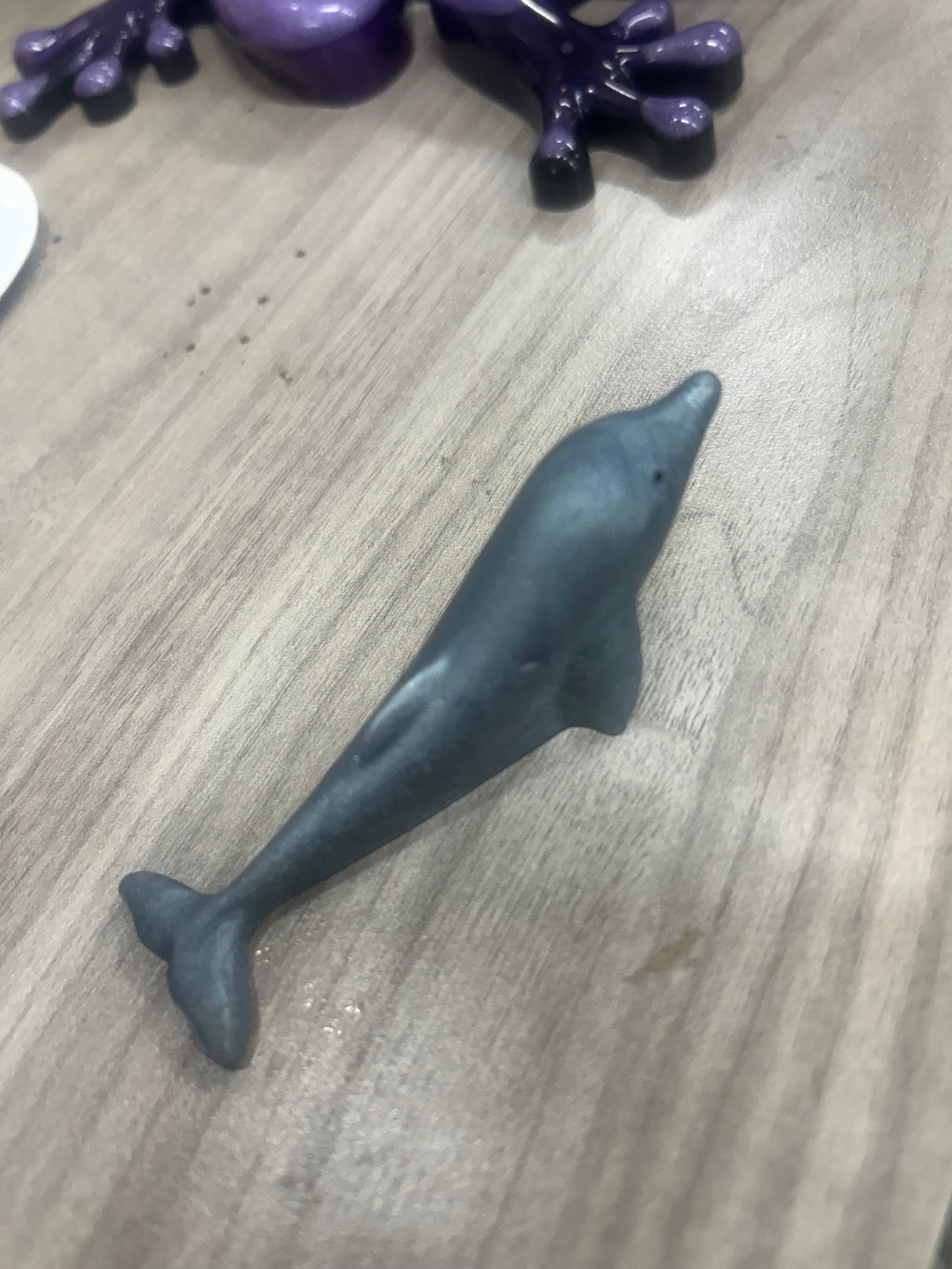 Mini Dolphin (Sybi)l