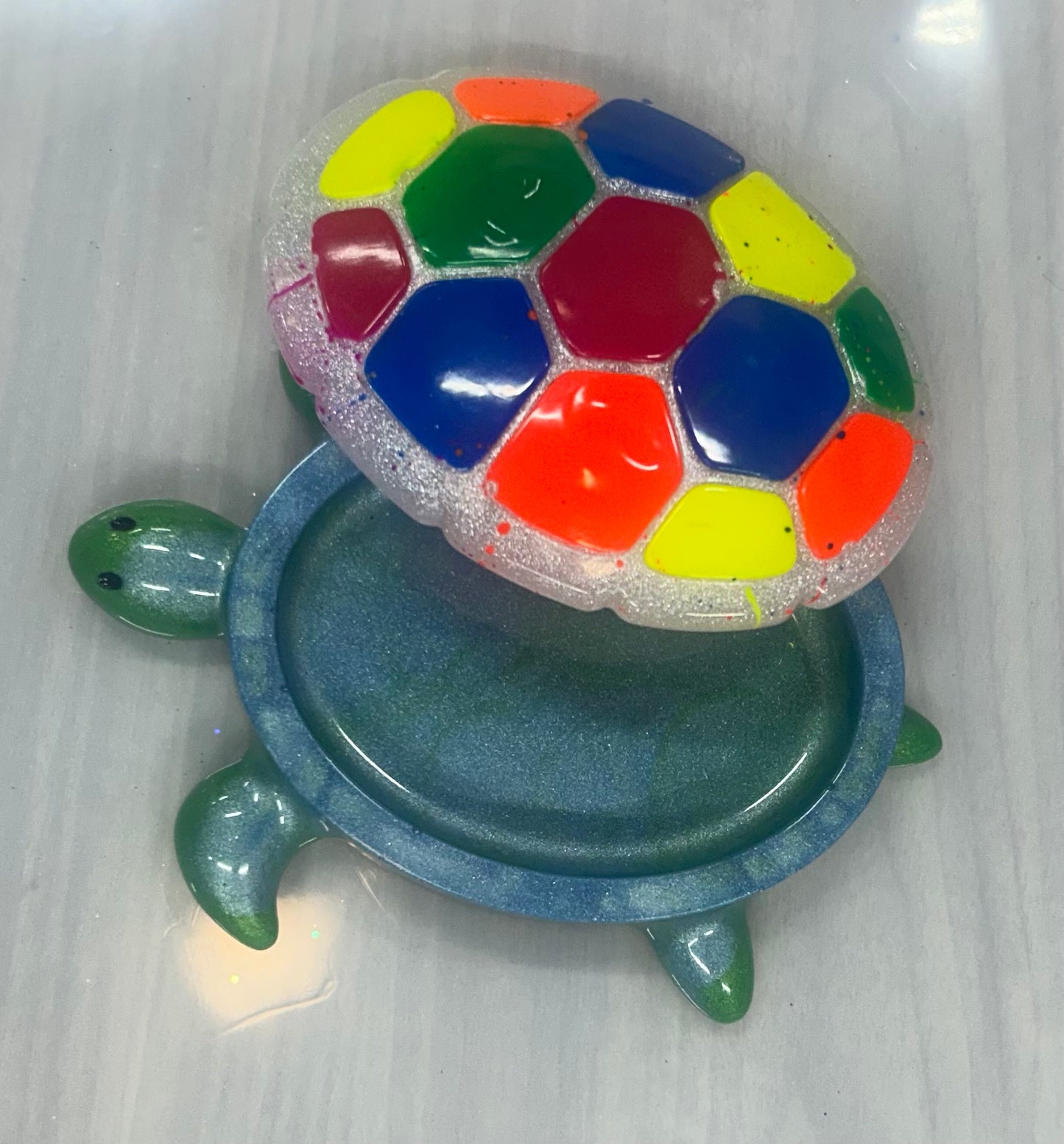 custom turtle